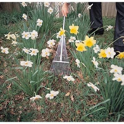 Draper Adjustable Lawn Rake 2 Draper Adjustable Lawn Rake - Image 2