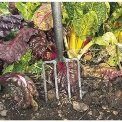 Draper Carbon Steel Border Fork -Build4less Shop 88791 GCSBF Iiu