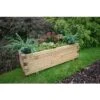 Forest Agen Planter