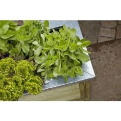 Forest Cambridge Planter - All Sizes -Build4less Shop CPK10050 3 1
