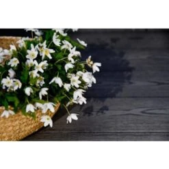 DDecks DuroDual Composite Bullnose Woodgrain Effect Decking Board 138mm X 21mm X 2.5m - All Colours -Build4less Shop DuroDualAfricanCharcoalback 1 703fc56b 5745 49da 8eb5 25dd53fd2627