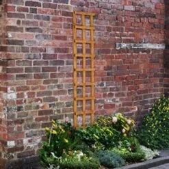 Forest Heavy Duty Trellis 183cm X 30cm (Pack Of 10)