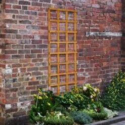 Forest Heavy Duty Trellis 183cm X 61cm