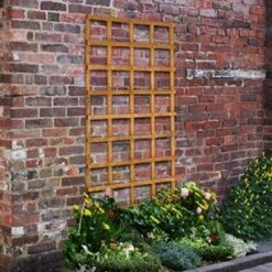 Forest Heavy Duty Trellis 183cm X 91cm