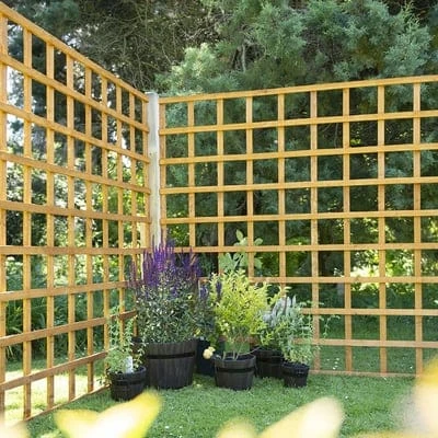Forest Heavy Duty Trellis 183cm X 183cm 2 Forest Heavy Duty Trellis 183cm X 183cm - Image 2