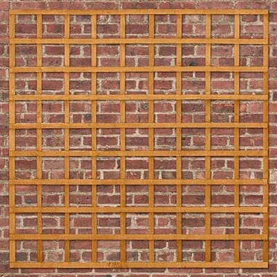 Forest Heavy Duty Trellis 183cm X 183cm 5 Forest Heavy Duty Trellis 183cm X 183cm - Image 5