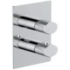 Single Outlet 2 Handle Thermostatic Concealed Shower Valve - All Colours