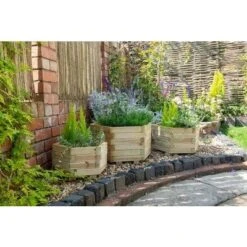 Forest York Hexagonal Planter (Pack Of 3)