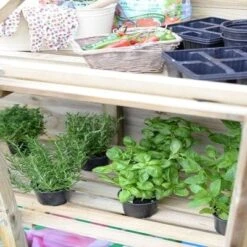 Forest Mini Greenhouse -Build4less Shop MGH 8 1 684x1024 1