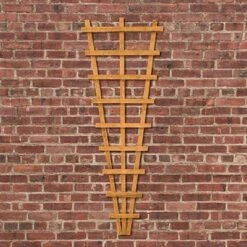 Forest Heavy Duty Fan Trellis 183cm X 66cm -Build4less Shop TFHD20 4 1