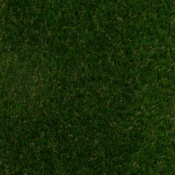 Exbury Bright 30mm Artificial Grass - Sample -Build4less Shop Untitleddesign 2024 03 07T140758.629 281f707d 90ea 4ae0 a9c1 fffb27472b7b