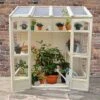 Forest Victorian Tall Wall Greenhouse