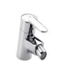 Roca Victoria V2 Chrome Bidet Mixer Tap & Chain Connector