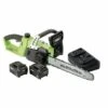Draper D20 40V Chainsaw W/ 2 X Batteries And Charger