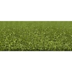 Play 16mm Artificial Grass - Sample -Build4less Shop play 3 namgrass artificial grass product 1440x600 1440x600 b32e4d0d ea37 4f80 afe2 8226bf4864cc